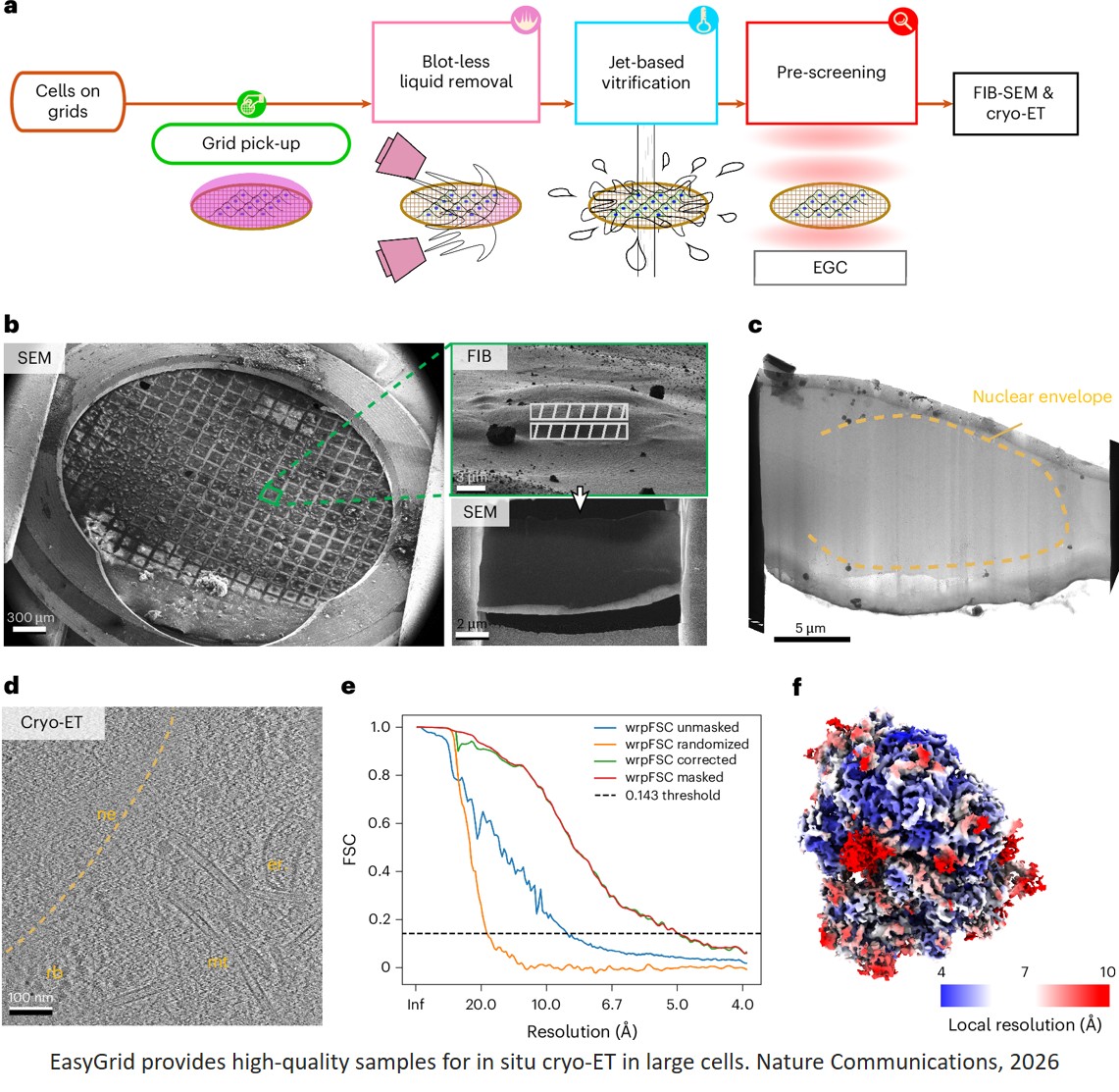 EasyGrid: a versatile platform for automated cryo-EM sample preparation and quality control