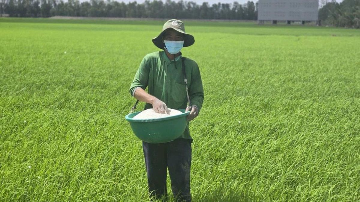 [VIDEO] Giá gạo châu Á tăng mạnh nhất 20 năm: Cơ hội nào cho Việt Nam? - Báo Tri thức &amp; Cuộc sống