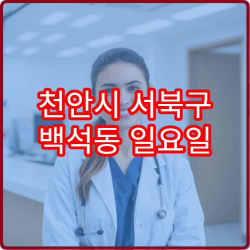 천안시 서북구 백석동 일요일 내과 진료 병원 위장 통증 검사