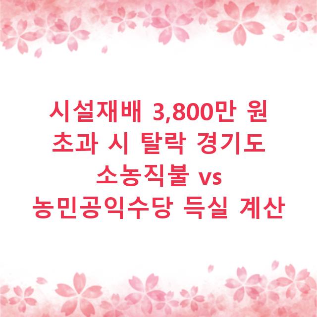 시설재배 3,800만 원 초과 시 탈락 경기도 소농직불 vs 농민공익수당 득실 계산