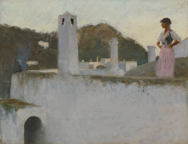 View ofCapri ca1878