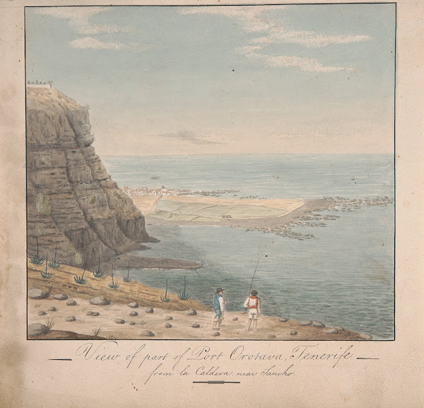 View from part of Port Orotava Tenerife from La Caldeva near Sancho 1821