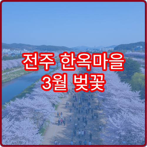 전주 한옥마을 3월 벚꽃 한복 입고 사진 찍는 명소 TOP