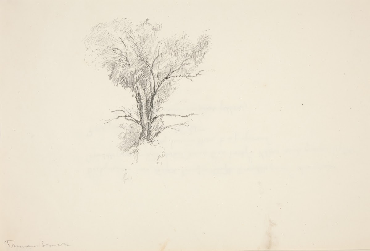 Study of aTree