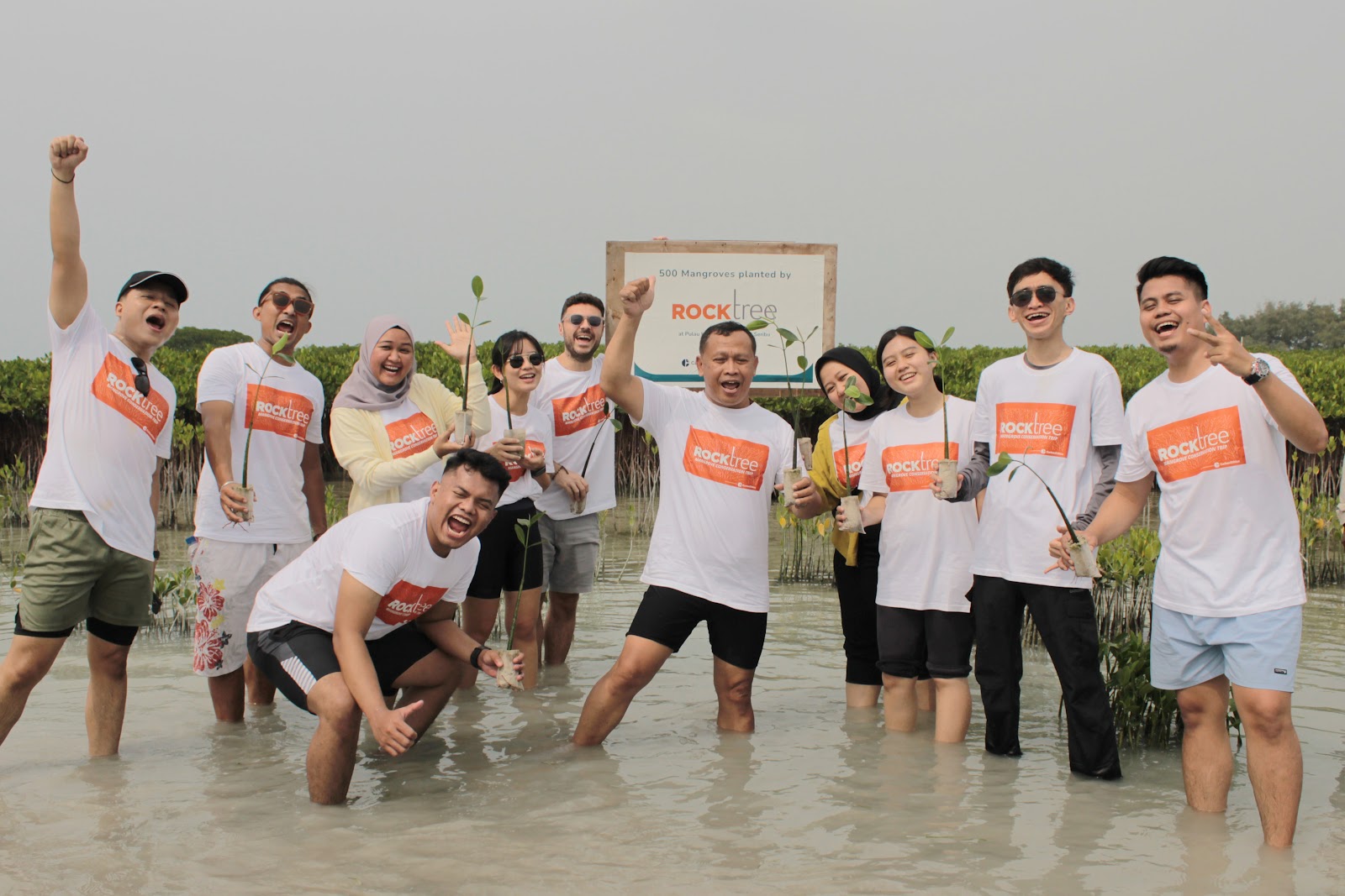 Rocktree Group and CarbonEthics Plant 500 Mangroves for Carbon Emission Sequestration