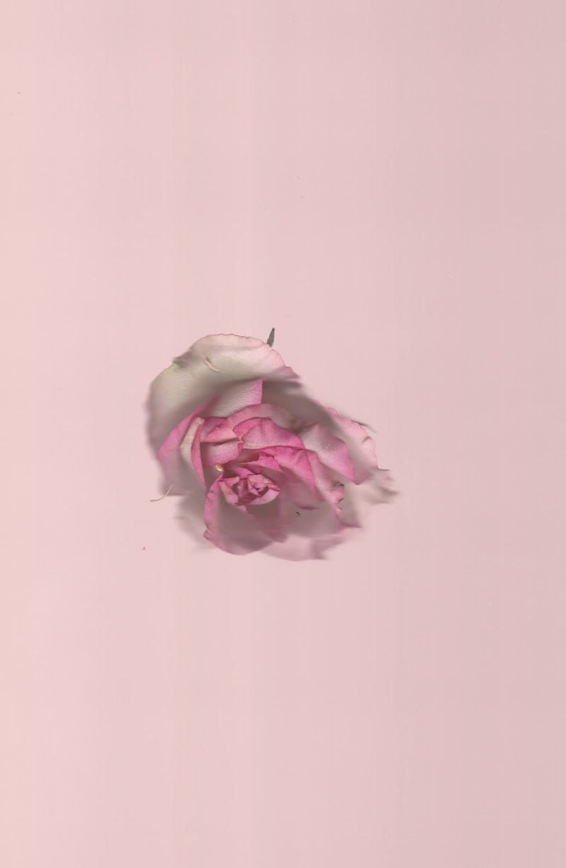 Pink No. 2