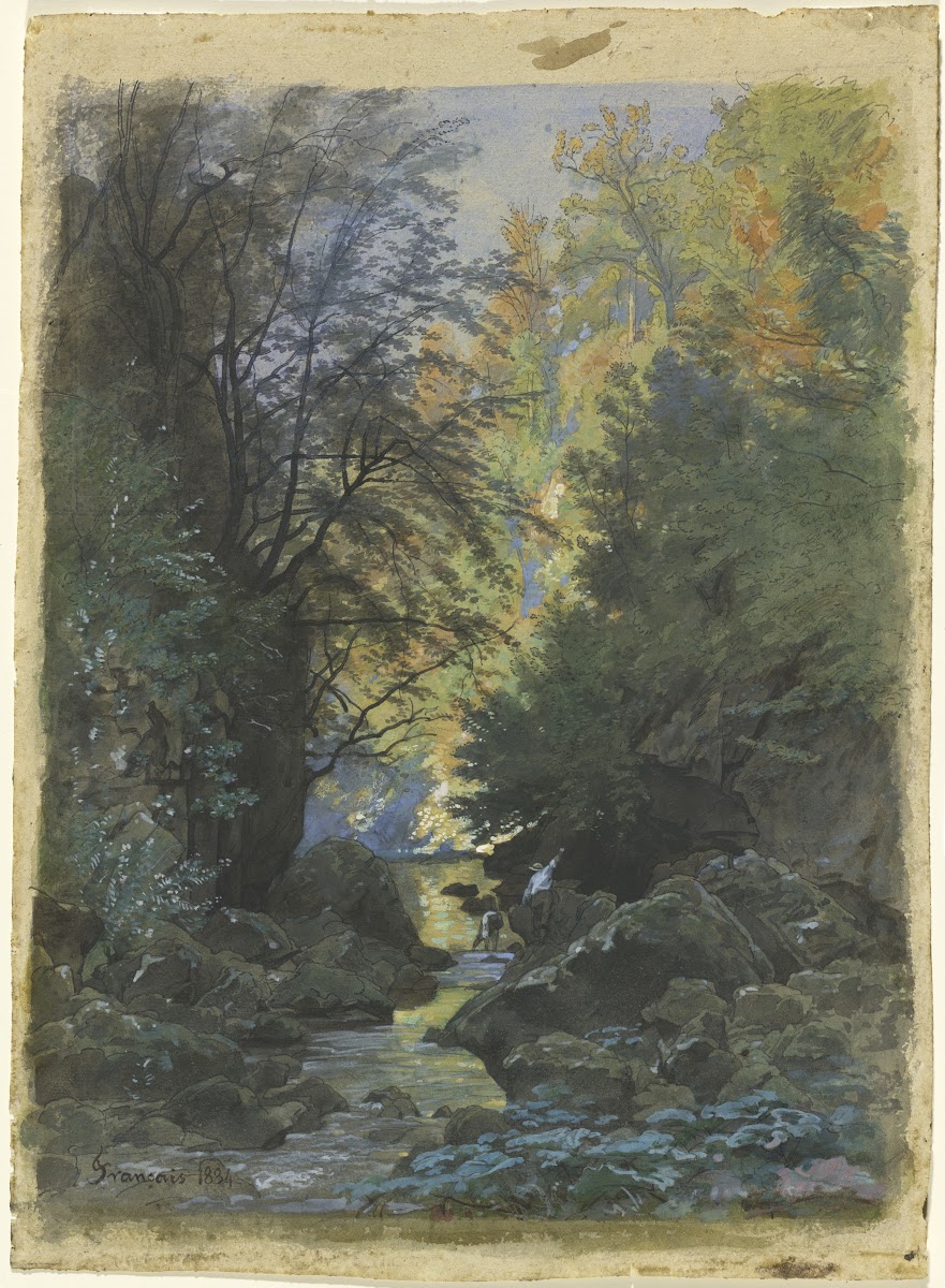 A Stream through a Dense Forest 1884