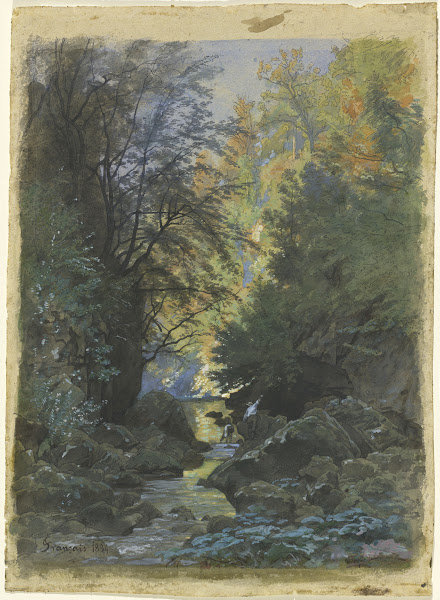 A Stream through a Dense Forest 1884