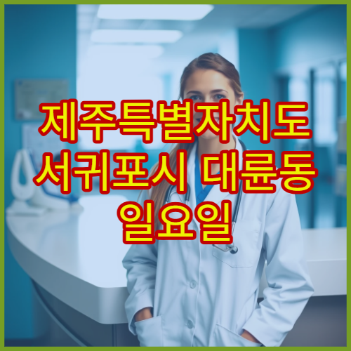 제주특별자치도 서귀포시 대륜동 일요일 휴일 당직약국 영업시간