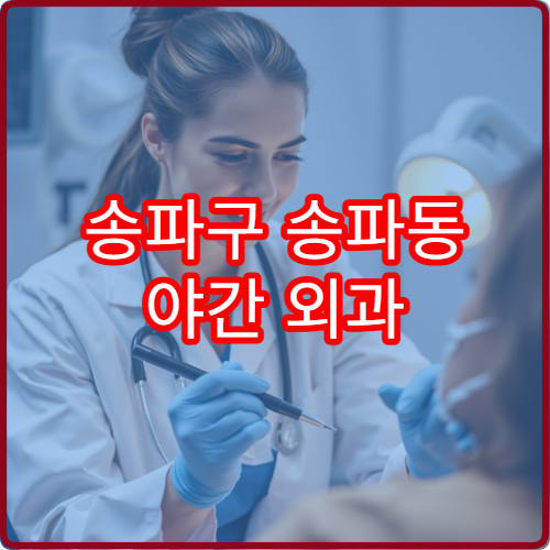 송파구 송파동 야간 외과 진료 가능한 병원 야간 운영 시간 안내