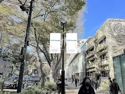 表参道街路灯フラッグ