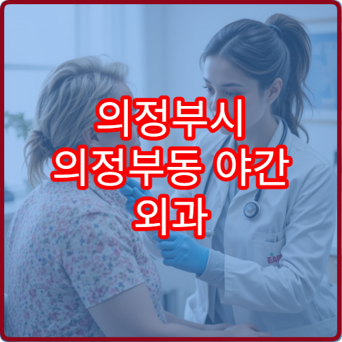 의정부시 의정부동 야간 외과 상처 봉합 응급 진료 가능한 병원