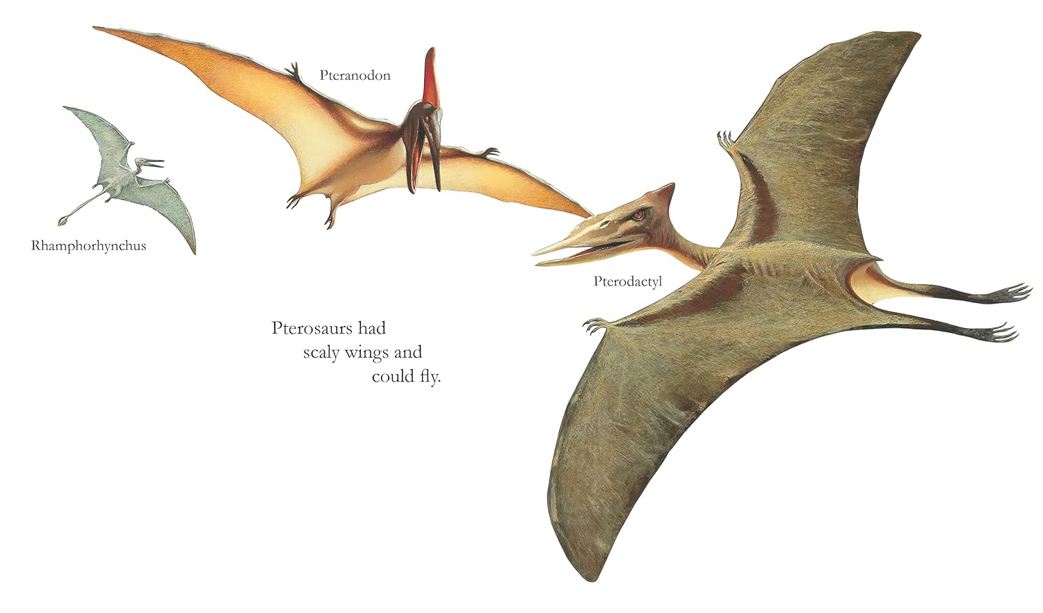 Dinosaurs PB - thumbnail 3