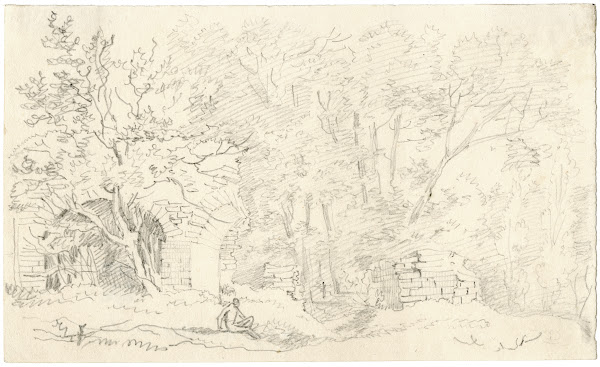 Ruïne temidden van geboomte