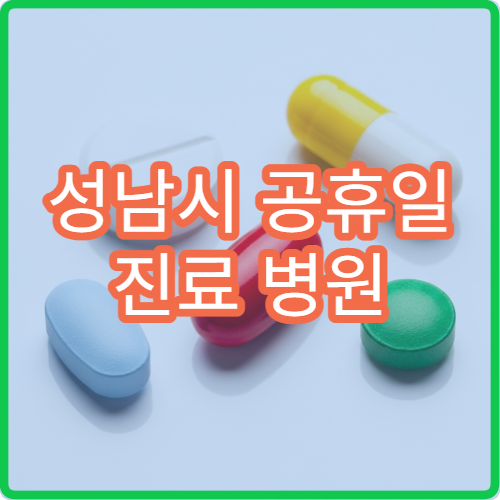 성남시 공휴일 진료 병원 어디? 당직병원 진료과목 및 접수 마감 시간 안내