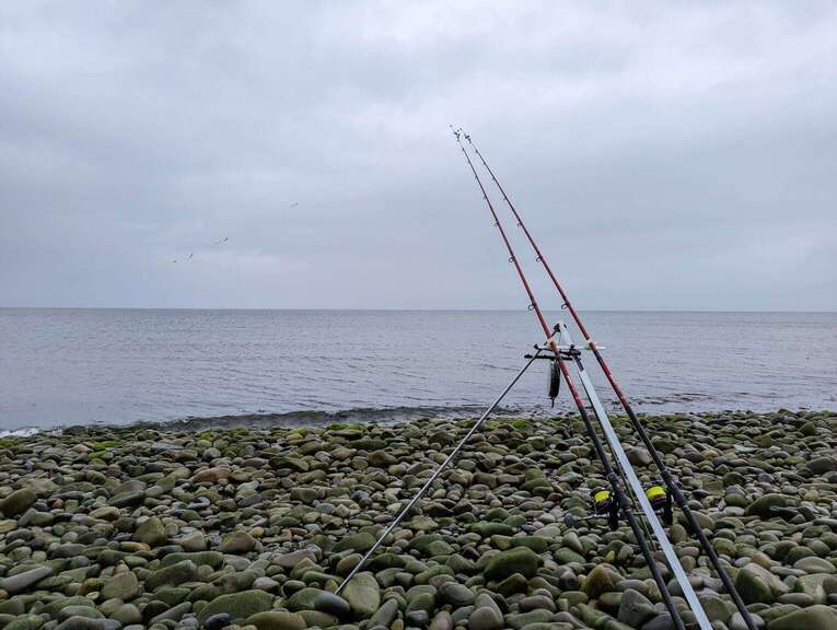 Scotland 3