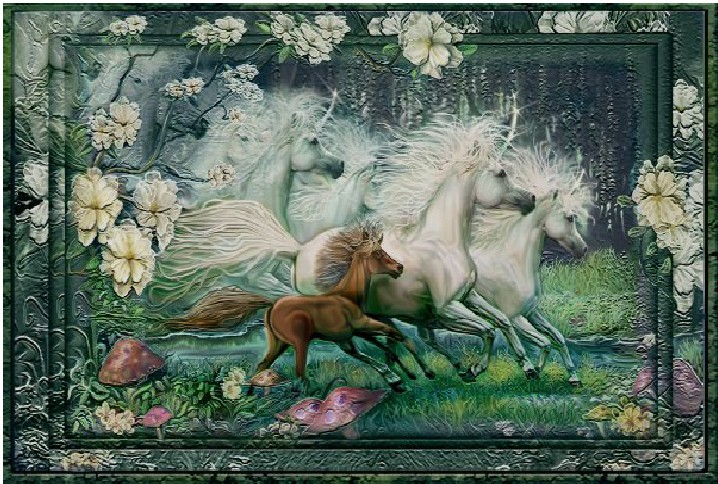 HAE DW006 Dreams Of Unicorns