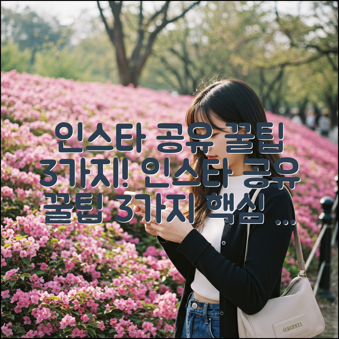 인스타 공유 꿀팁 3가지!