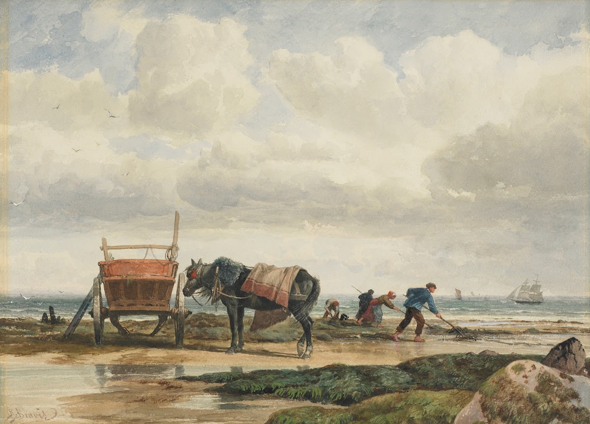 Gathering seaweed 19th Century