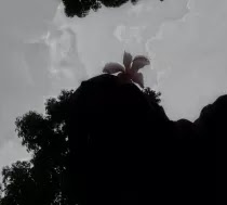 তাসনিম মুনা