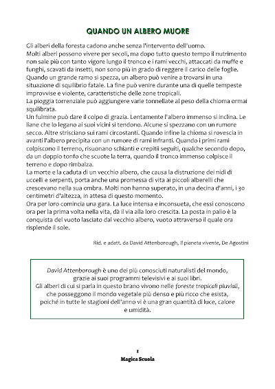 Anteprima della prima pagina: Quando un albero muore