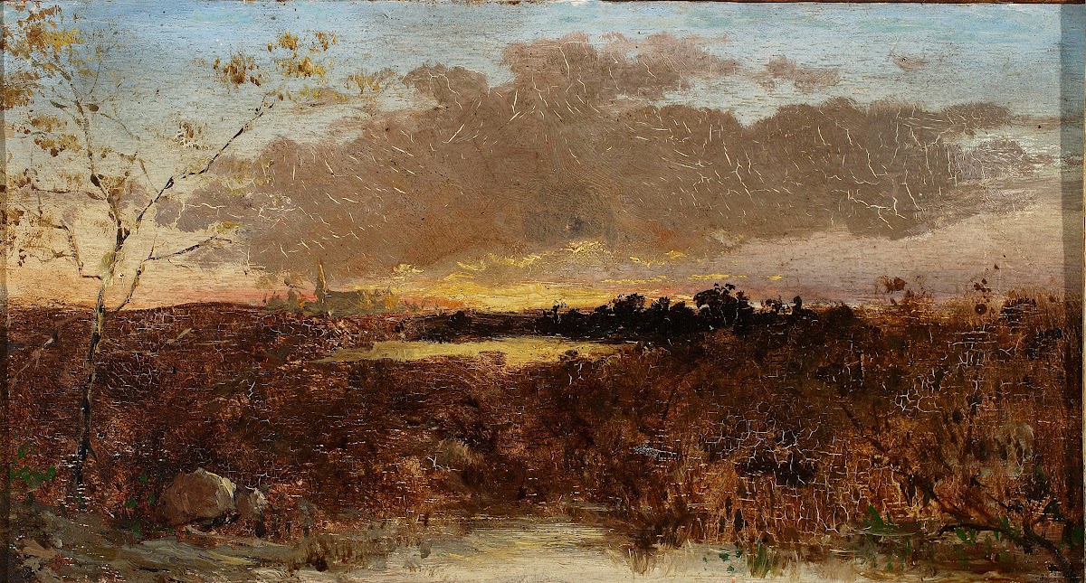 View of marshes at sunset
