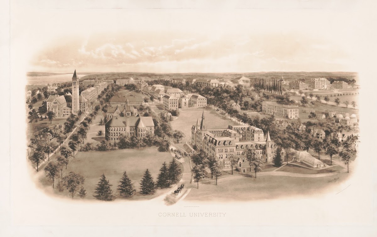 Cornell University 1906