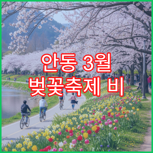 안동 3월 벚꽃축제 비 오는 날 대체 실내 카페 명소