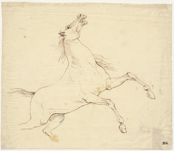 Steigerend paard doortrek