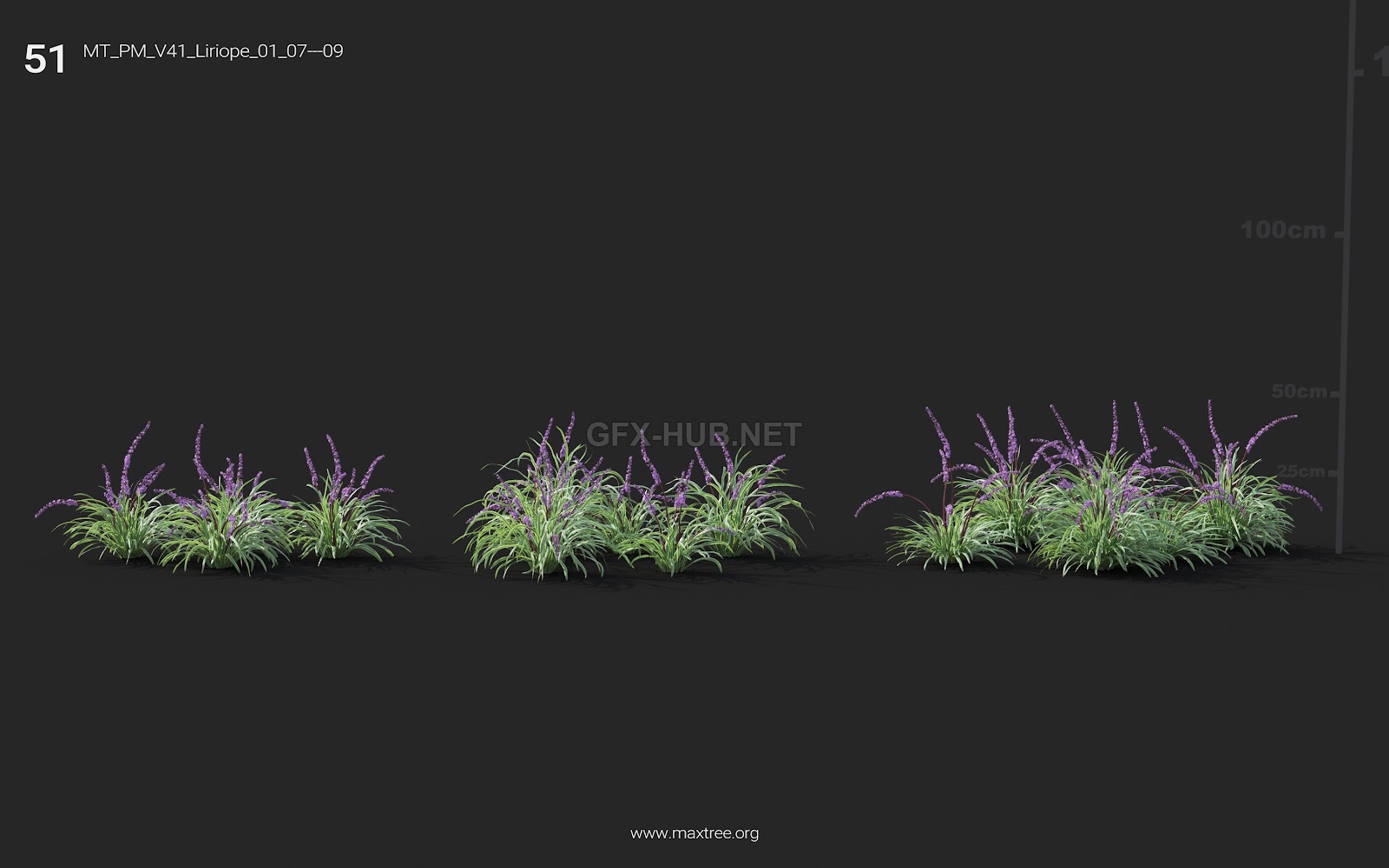 Maxtree - Plant Models Vol.41