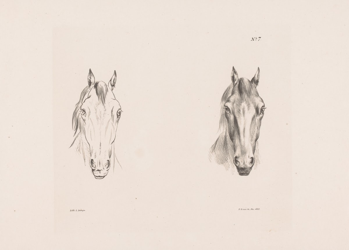 Twee studies van een paardenhoofd 1835