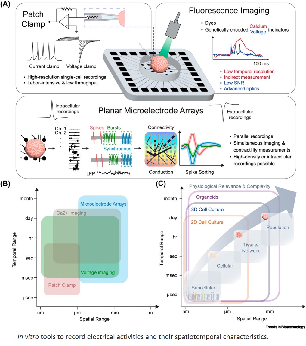 Microelectrode array technology for organoids and microphysiological systems