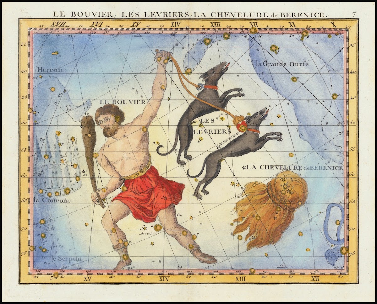 Le Bouvier Les Levriers La Chevelure de Berenice Comae Berenices Bootes  Cannes