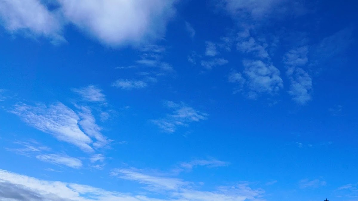 행복이란 단어의 철학적 의미 변화와 문화별 해석 비교