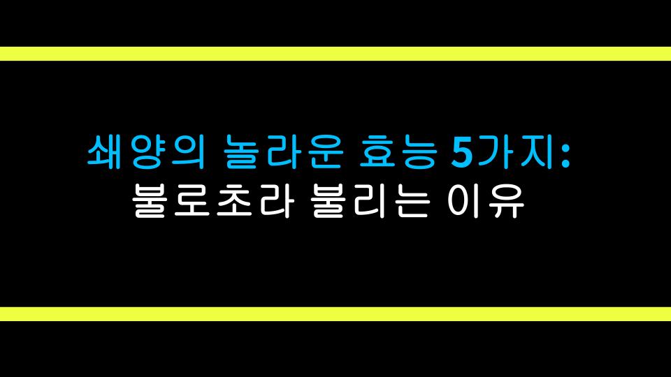 쇄양의 놀라운 효능 5가지: 불로초라 불리는 이유