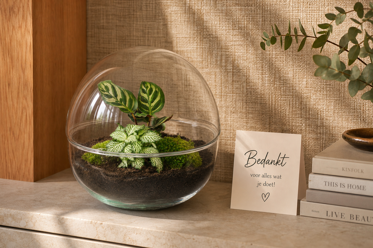 Dome terrarium bottle garden