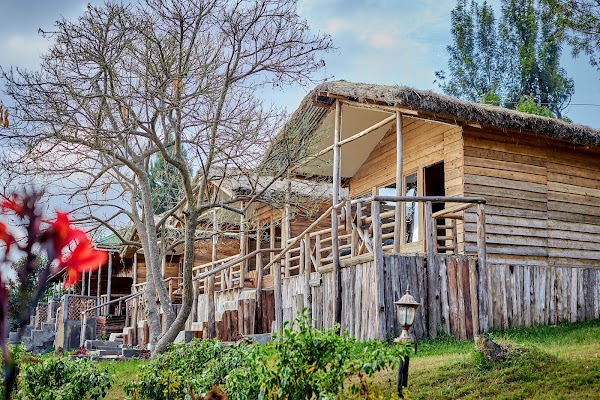 Bwindi frame 5