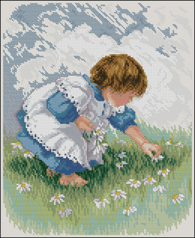 CMP JAN02955 Collecting Daisies
