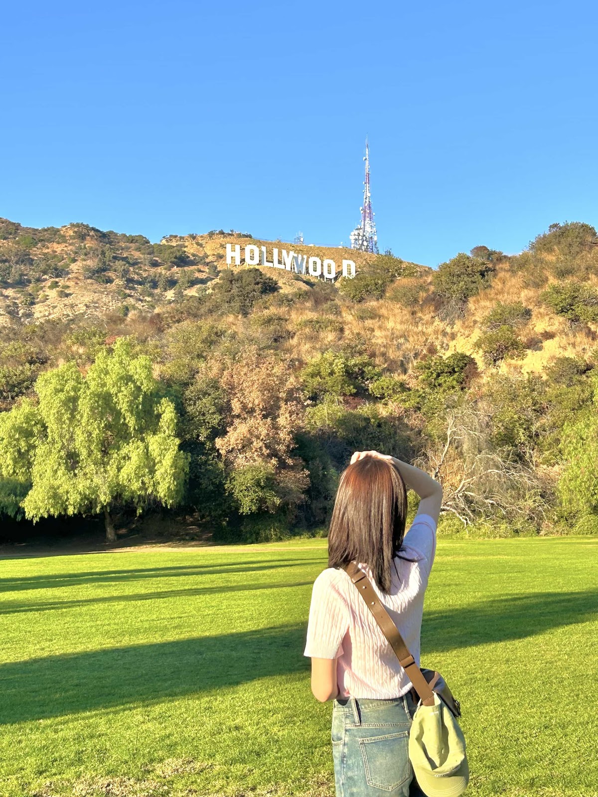 1EHNFKZ7qgywqAHKg4rWocNjFwuBlP5q5