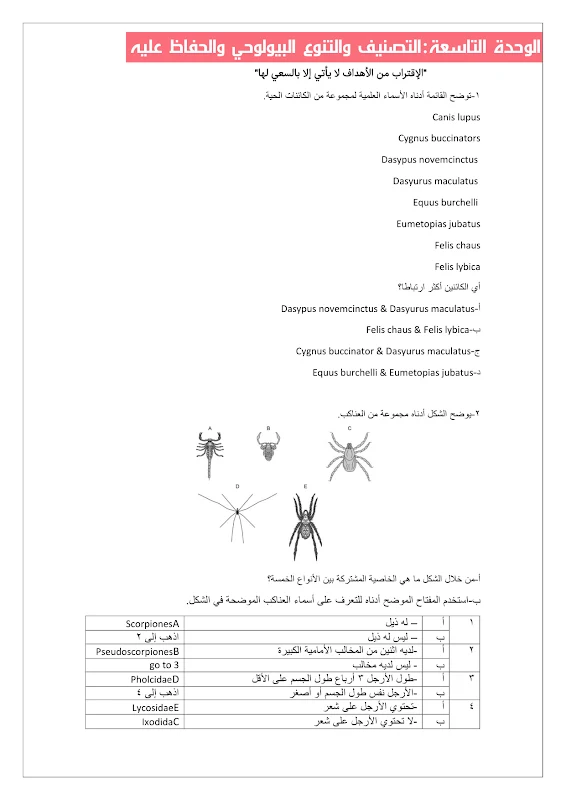 صورة الغلاف