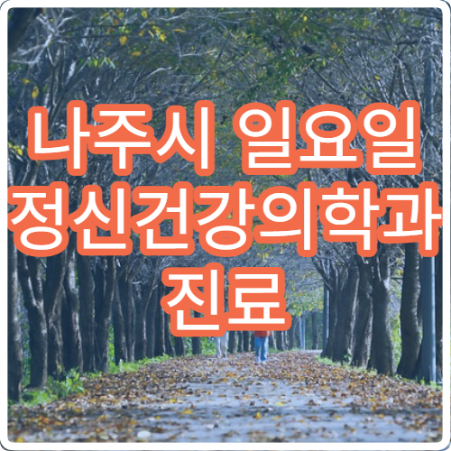 나주시 일요일 정신건강의학과 진료 병원 – 불면, 불안, 우울증 상담 가능한 병원