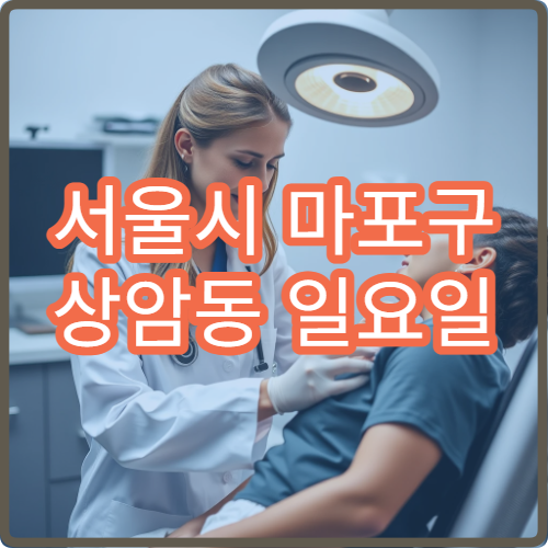 서울시 마포구 상암동 일요일 신경외과 척추통증 디스크 상담
