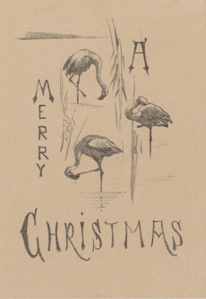 Kerstkaart met drie flamingos 1878   1917