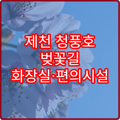 제천 청풍호 벚꽃길 화장실·편의시설 숨은 위치 실시간 공유