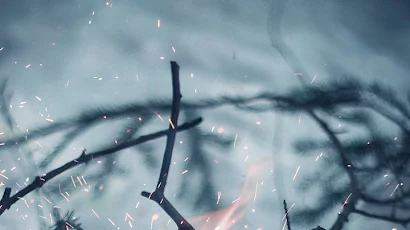Branch, Twig, Fire, Wood, Flame  iPhone Wallpaper Background