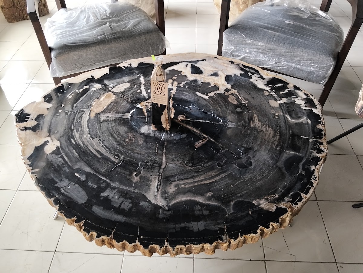 ROUND COFFEE TABLE — SKU SBTP.226.24 | Petrified Wood by PJ Antique Bali