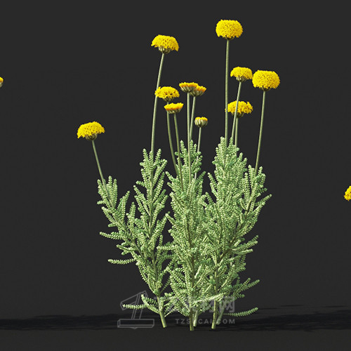 Maxtree - Plant Models Vol.60