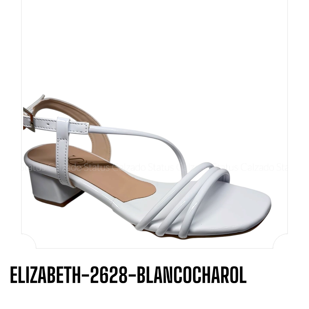 ELIZABETH-2628-BLANCOCHAROL