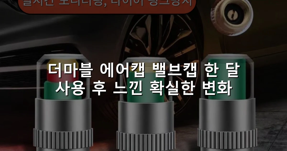 더마블 에어캡 밸브캡 한 달 사용 후 느낀 확실한 변화