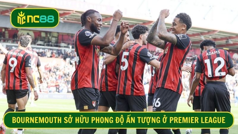 Bournemouth đang thăng hoa tại Ngoại Hạng Anh với top 4